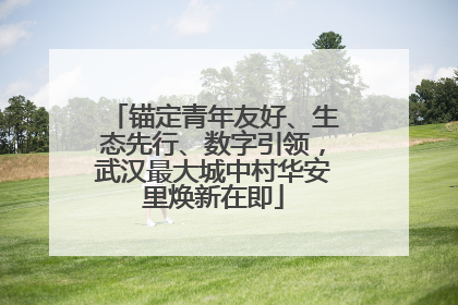 锚定青年友好、生态先行、数字引领，武汉最大城中村华安里焕新在即