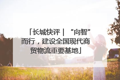 长城快评｜“向智”而行，建设全国现代商贸物流重要基地