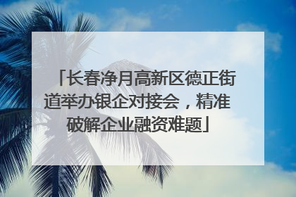 长春净月高新区德正街道举办银企对接会，精准破解企业融资难题