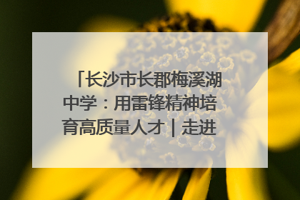 长沙市长郡梅溪湖中学：用雷锋精神培育高质量人才｜走进新时代“雷锋传人 长沙榜样”