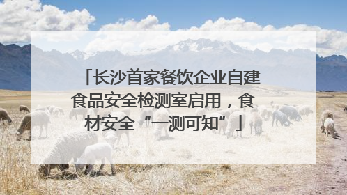长沙首家餐饮企业自建食品安全检测室启用，食材安全“一测可知”