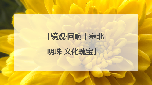 镜观·回响丨塞北明珠 文化瑰宝