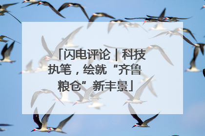闪电评论｜科技执笔，绘就“齐鲁粮仓”新丰景