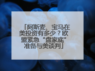 阿斯麦、宝马在美投资有多少？欧盟紧急“盘家底”准备与美谈判