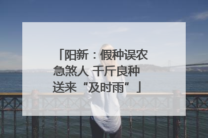 阳新：假种误农急煞人 千斤良种送来“及时雨”