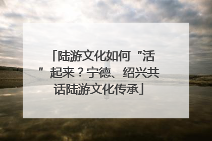 陆游文化如何“活 ”起来？宁德、绍兴共话陆游文化传承