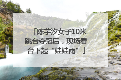 陈芋汐女子10米跳台夺冠后，现场看台下起“娃娃雨”