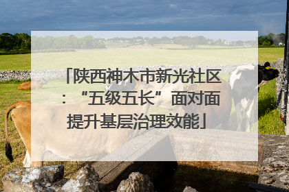 陕西神木市新光社区：“五级五长”面对面 提升基层治理效能