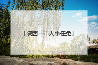 陕西一市人事任免