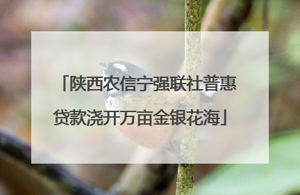 陕西农信宁强联社普惠贷款浇开万亩金银花海