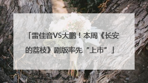 雷佳音VS大鹏！本周《长安的荔枝》剧版率先“上市”