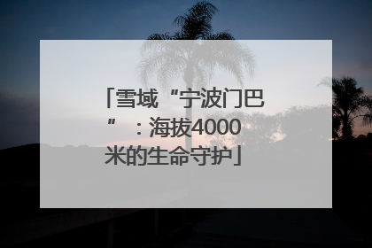 雪域“宁波门巴”：海拔4000米的生命守护