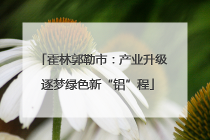 霍林郭勒市：产业升级逐梦绿色新“铝”程