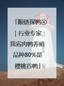 顺链探鸭④｜行业专家：我省肉鸭养殖品种80%是樱桃谷鸭