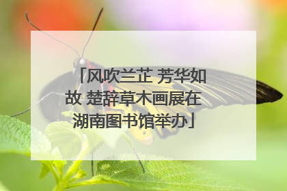 风吹兰芷 芳华如故 楚辞草木画展在湖南图书馆举办