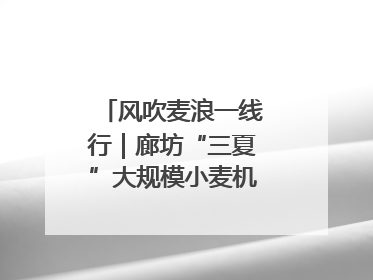风吹麦浪一线行｜廊坊“三夏”大规模小麦机收全面开始