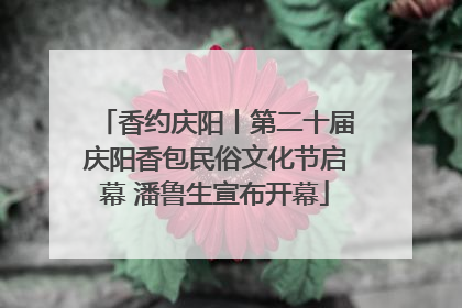 香约庆阳丨第二十届庆阳香包民俗文化节启幕 潘鲁生宣布开幕