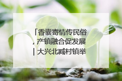 香囊寄情传民俗，产镇融合促发展｜大兴北臧村镇举办端午主题活动