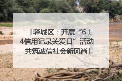驿城区：开展“6.14信用记录关爱日”活动 共筑诚信社会新风尚