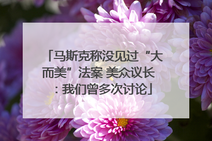 马斯克称没见过“大而美”法案 美众议长：我们曾多次讨论