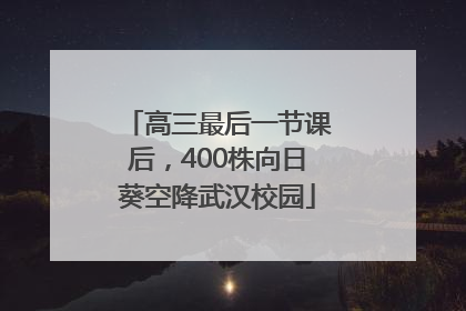 高三最后一节课后，400株向日葵空降武汉校园