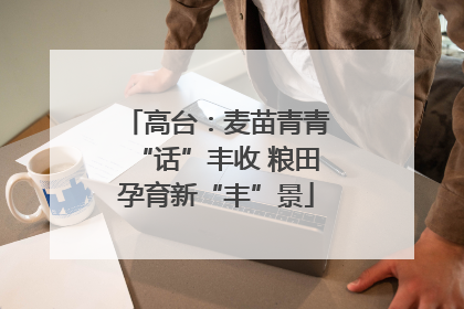 高台：麦苗青青“话”丰收 粮田孕育新“丰”景