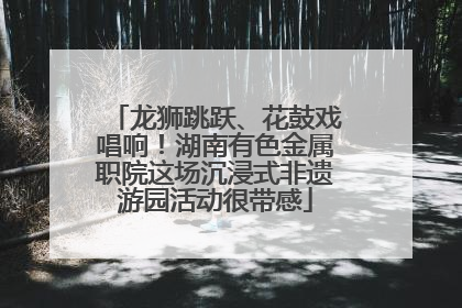 龙狮跳跃、花鼓戏唱响！湖南有色金属职院这场沉浸式非遗游园活动很带感