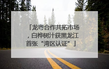 龙粤合作共拓市场，白桦树汁获黑龙江首张“湾区认证”