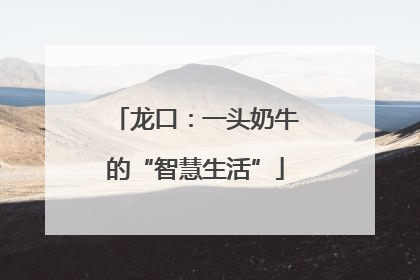 龙口：一头奶牛的“智慧生活”