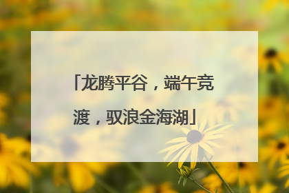 龙腾平谷，端午竞渡，驭浪金海湖