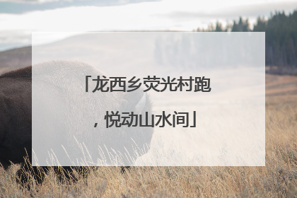 龙西乡荧光村跑，悦动山水间