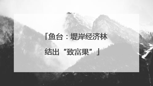 鱼台：堤岸经济林结出“致富果”