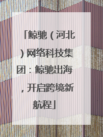 鲸驰（河北）网络科技集团：鲸驰出海，开启跨境新航程
