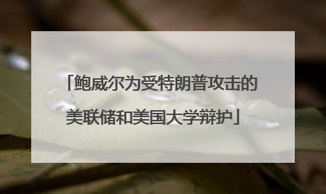鲍威尔为受特朗普攻击的美联储和美国大学辩护