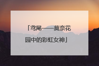 鸢尾——莫奈花园中的彩虹女神