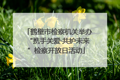 鹤壁市检察机关举办“携手关爱·共护未来”检察开放日活动