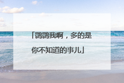 鹮鹮我啊，多的是你不知道的事儿