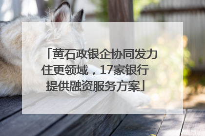 黄石政银企协同发力住更领域，17家银行提供融资服务方案