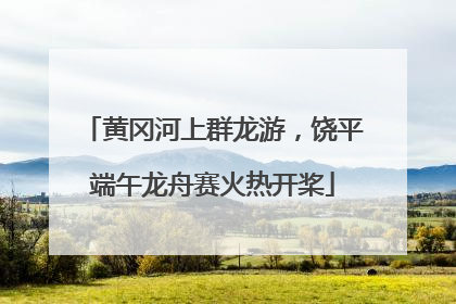 黄冈河上群龙游，饶平端午龙舟赛火热开桨