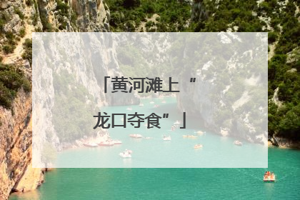 黄河滩上“龙口夺食”