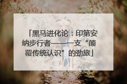 黑马进化论：印第安纳步行者——一支“颠覆传统认识”的劲旅