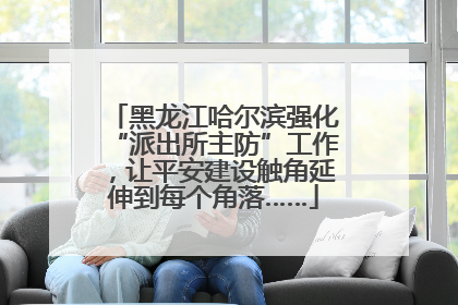 黑龙江哈尔滨强化“派出所主防”工作，让平安建设触角延伸到每个角落……