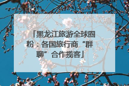 黑龙江旅游全球圈粉：各国旅行商“群聊”合作揽客