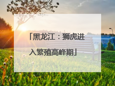 黑龙江：狮虎进入繁殖高峰期