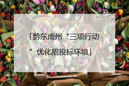 黔东南州“三项行动”优化招投标环境
