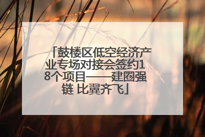鼓楼区低空经济产业专场对接会签约18个项目——建圈强链 比翼齐飞