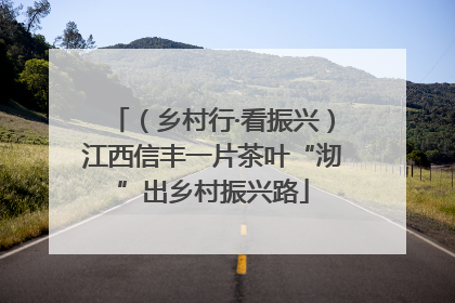 （乡村行·看振兴）江西信丰一片茶叶“沏”出乡村振兴路