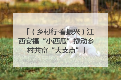 （乡村行·看振兴）江西安福“小西瓜”撬动乡村共富“大支点”
