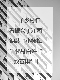 （乡村行·看振兴）江西铜鼓“小杨梅”化身百姓“致富果”