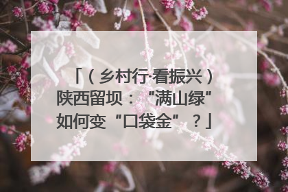 （乡村行·看振兴）陕西留坝：“满山绿”如何变“口袋金”？
